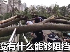 ”山竹“過后，光伏人的反思~~