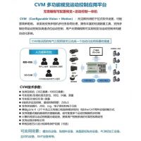 視覺運動控制器CVM