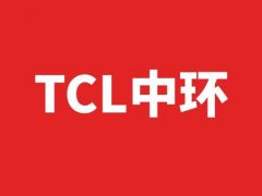 中環(huán)股份2021營收411.05億 凈利44.35億 增長200.58%