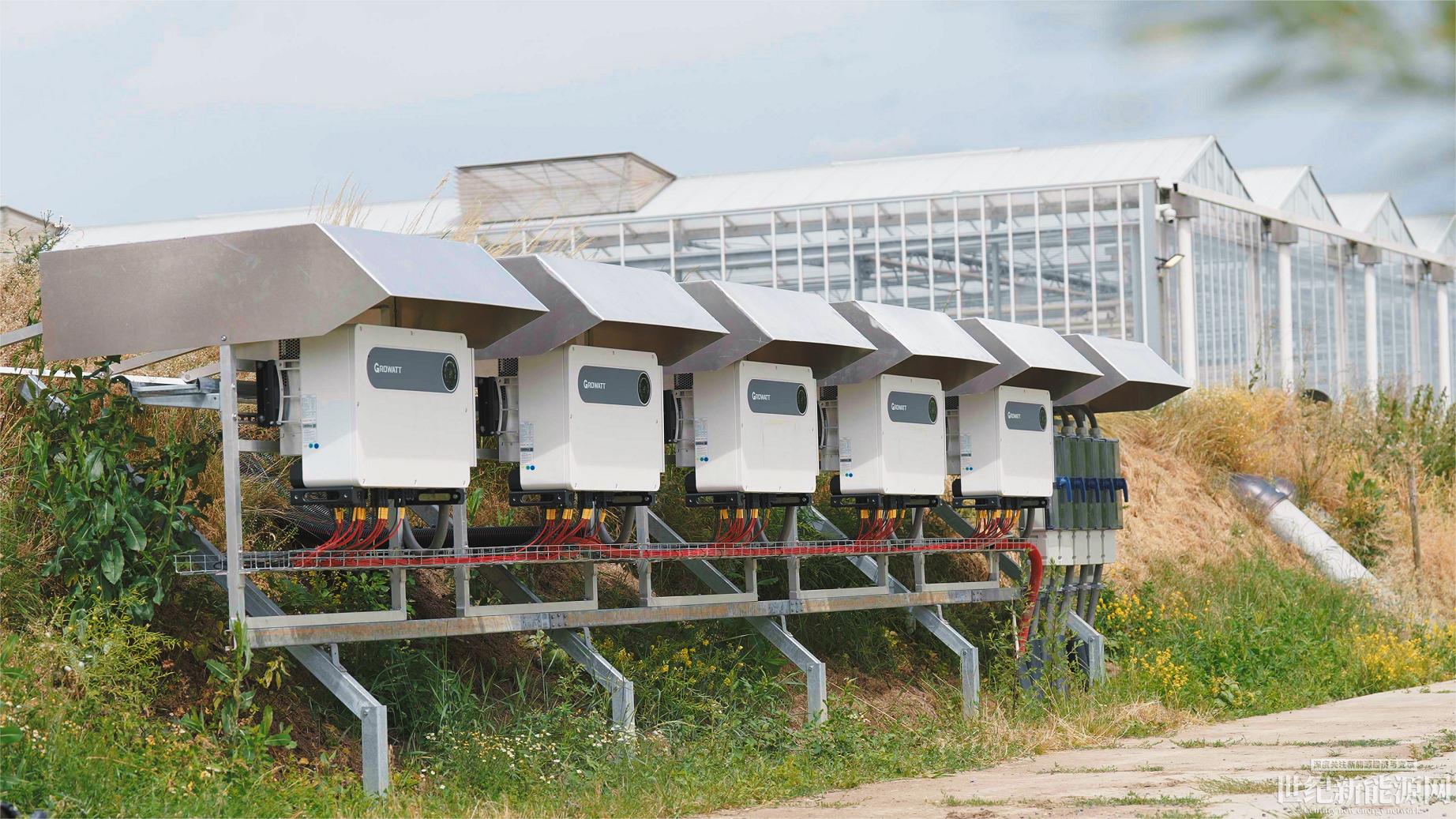 荷蘭鮮花工廠的光伏電站-古瑞瓦特