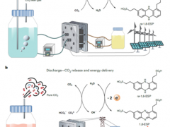 西湖大學(xué)與哈佛大學(xué)團(tuán)隊(duì)在基于液流電池的電化學(xué)碳捕集研究方面取得進(jìn)展
