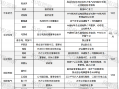 風電龍頭高管扎堆換防，如何布局2025？