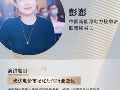 嘉賓| 中國新能源電力投融資聯盟秘書長彭澎出席2025中國戶用和工商業光儲充大會并演講